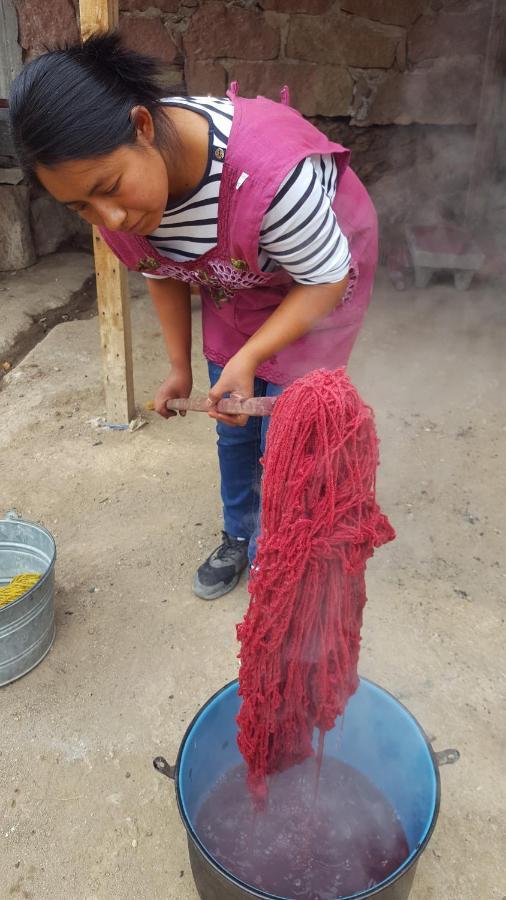 לינה וארוחת בוקר Teotitlán del Valle Lizu Tu Casa En Un Pueblo Zapoteca מראה חיצוני תמונה