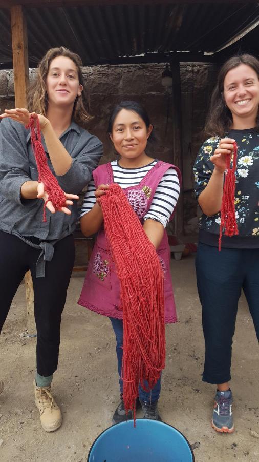 לינה וארוחת בוקר Teotitlán del Valle Lizu Tu Casa En Un Pueblo Zapoteca מראה חיצוני תמונה