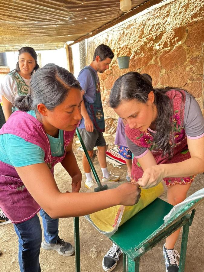 לינה וארוחת בוקר Teotitlán del Valle Lizu Tu Casa En Un Pueblo Zapoteca מראה חיצוני תמונה