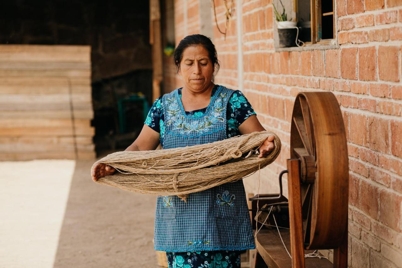 לינה וארוחת בוקר Teotitlán del Valle Lizu Tu Casa En Un Pueblo Zapoteca מראה חיצוני תמונה